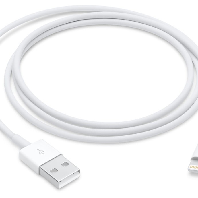 Lightning to USB Cable - 1 meter Image